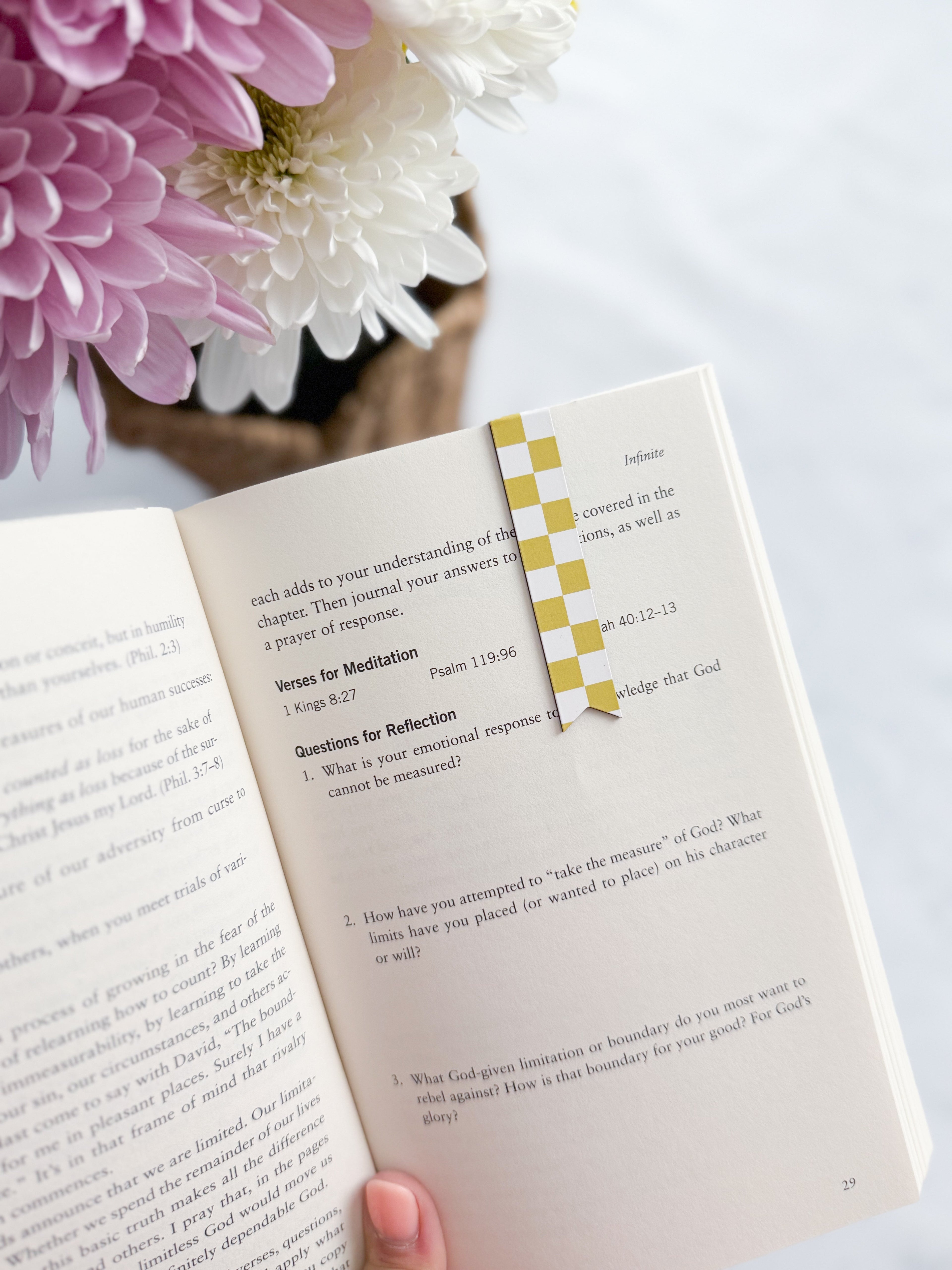 Set of 4 Magnetic Bookmarks